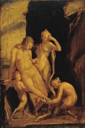 Faune avec Pied Blessé